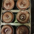 Cooksnap de Liliane Mouret sur la recette Coeur coulant au chocolat au cake factory