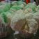 Cooksnap dari Veranika untuk resep Bolu kukus mekar