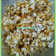 Cooksnap dari sri wiji lestari untuk resep Caramel popcorn