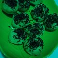 Cooksnap dari Ema Fa Fa untuk resep Donat lembut bahan irit