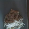 El cooksnap de Tamara Méndez López cuando hizo Risotto de pera y queso azul.