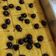 Cooksnap dari Yozi Agfa untuk resep Proll Tape Lembut (No Mixer)