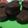 El cooksnap de Mirian Faviere cuando hizo Alfajores mar platenses! 🍩🍫.