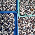 Cooksnap dari Ananda Hapsari Putri untuk resep Chocolate Muffin