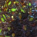Cooksnap dari Fuji N untuk resep Sambel cumi pete