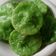 Cooksnap dari Nengah Hardiani untuk resep Cucur pandan simple