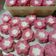 Cooksnap dari IsmaDjibran untuk resep Bolu Mawar aNdalan
