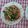 潘俊霖的(簡單料理) 的 蔥爆魷魚 cooksnap