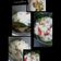 Cooksnap dari er.indriani untuk resep Nasi Liwet ala magicom