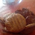 El cooksnap de Liliana Ricartez cuando hizo Galletitas de coco delicia.