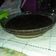 Cooksnap dari Badriani Bakri untuk resep Puding coklat saus vla susu