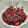 El cooksnap de Dores Rial cuando hizo Tarta kinder bueno.