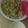 صورة من wojod m، شاركها بعد تجربة وصفة سلطة المعكرونة بطريقتي 🍅🌽