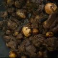 Cooksnap dari Dina untuk resep Rendang Padang