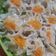 Cooksnap dari Bella Aghista Anggraini untuk resep Dimsum siomay hauche