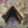 Cooksnap dari Novalina A Yudistira untuk resep Brownies Kukus Ny. Liem