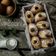 Cooksnap dari Dheelicious untuk resep Bomboloni