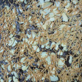 Cooksnap dari Mita Wulandari untuk resep Brownies panggang