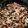 melinda.gladney's cooksnap of when they made Creamy Mushrooms with Pasta.