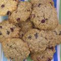 El cooksnap de Karen Fuentes Mendoza cuando hizo Galletas de avena, miel y arandanos.