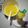 kimans Catering & Global Concept's cooksnap of when they made Pineapple and ginger drink.