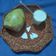 Bhavna C. Desai's cooksnap of when they made કોકોનટ કૂલર (Coconut Cooler Recipe in Gujarati).