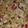 Gemz's cooksnap of when they made Chicken-Bacon-Ranch Pasta Salad.