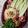 Marthak Jolly's cooksnap of when they made ચીઝી કોનૅ(cheese corn recipe in gujarati).