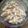 Pradnya Khadpekar's cooksnap of when they made Malai Pasta.