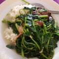 Cooksnap dari Ayu Malinda untuk resep Bobor bayam
