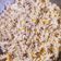 Sonal Sardesai Gautam का कुकस्नैप जब उन्होंने क्रीमी कॉर्न पास्ता (creamy corn pasta recipe in Hindi) बनाया था।