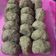 Cooksnap dari Ausi Arinda untuk resep Kumbu Kacang Hijau isian Onde2, bakpia, mooncake (ini untuk 1 kg tepung Ketan) #364