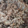 El cooksnap de Georgina Mancilla Vargas cuando hizo Guiso de fideo con carne económico.