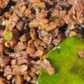 Cooksnap dari Nur'aini Rohmadani untuk resep Oseng Tempe Kerang