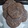 Cooksnap Nur C. Fitriana semasa beliau membuat Fudgy Brownie Crinkle Cookies with Sea Salt Flakes.