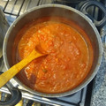 El cooksnap de Ivi cuando hizo Salsa fileto.