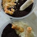 Cooksnap dari perempuan19 untuk resep Cheesecake Simple 5 Bahan (No Bake No Mixer)