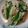 趙蓓蒂 的 護肝料理-鴻喜菇炒小白菜 cooksnap