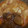 Saira Abdullah's cooksnap of when they made Chicken Qorma.