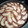 El cooksnap de Rosario Vergara Olea cuando hizo Bizcocho de manzana fácil y jugoso.