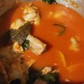 El cooksnap de Jose Centeno cuando hizo Pollo sudado en salsa de tomate.