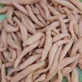 Cooksnap dari Ariani Fitri (Wo aie) untuk resep Cheese Stick/Gabus Keju