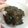 Cooksnap dari kikicooks untuk resep Dendeng Daun Singkong