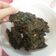 Cooksnap dari kikicooks untuk resep Dendeng Daun Singkong