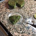 El cooksnap de juan peñas cuando hizo Tortilla de acelga de mi quinta.