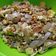 Cooksnap dari Amelia Novie Puji Astuti untuk resep Konyaku ‘Kwetiaw’ Goreng -Keto