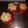 El cooksnap de Silvia Castro cuando hizo Tomate relleno de atún, huevo y arroz.