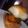 Monika gupta 's cooksnap of when they made Spicy cheese masala vada pav.