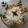 Khushi Trivedi's cooksnap of when they made જૈન પુલાવ (Jain Pulao recipe in Gujarati).