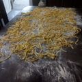 El cooksnap de Tamara Gonzalez cuando hizo Fideos caseros con 1 kg de harina.